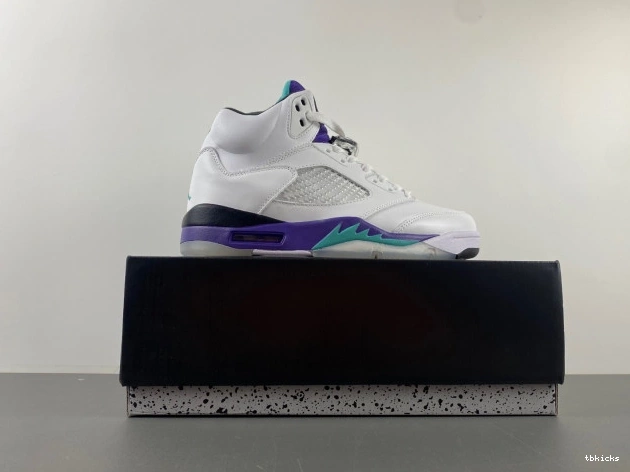 Rep TBK (2013) Jordan Grape 136027-108 Air Retro 5 0814